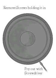 image of speaker