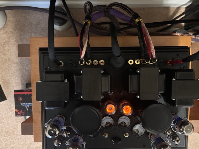 Forums - Zen Mystery Amp plus Extras